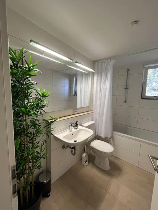 City Appartement Direkt Am Schloss! Карлсруэ Экстерьер фото