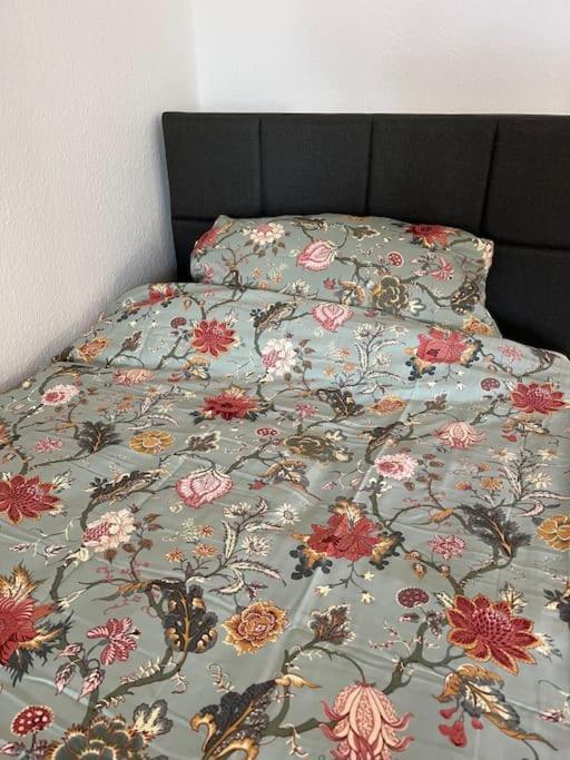 City Appartement Direkt Am Schloss! Карлсруэ Экстерьер фото