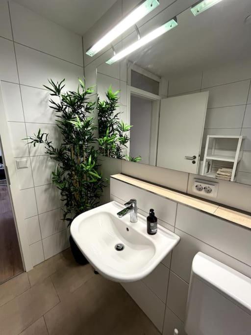 City Appartement Direkt Am Schloss! Карлсруэ Экстерьер фото
