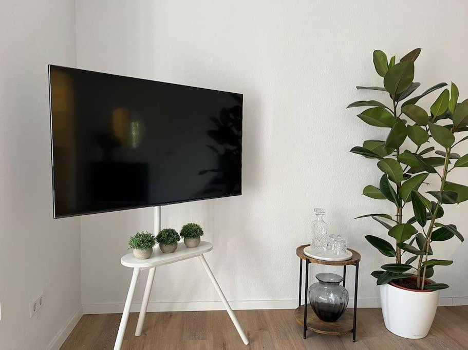 City Appartement Direkt Am Schloss! Карлсруэ Экстерьер фото