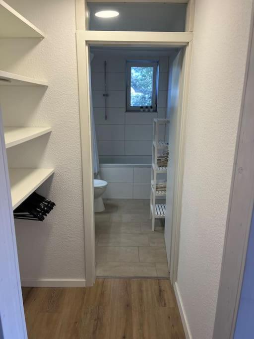 City Appartement Direkt Am Schloss! Карлсруэ Экстерьер фото
